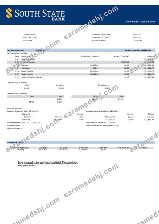 USA South State Bank statement Word and PDF template